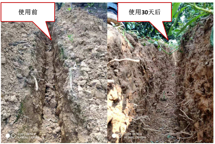 “土壤板结克星”：土壤调理剂你了解多少？
