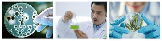 成都公海赌船710作物科学股份有限公司